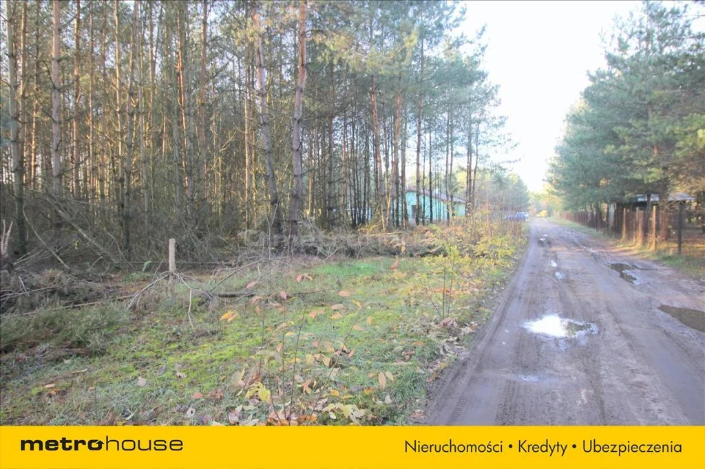 KAZU242 - zdjęcie nr 4