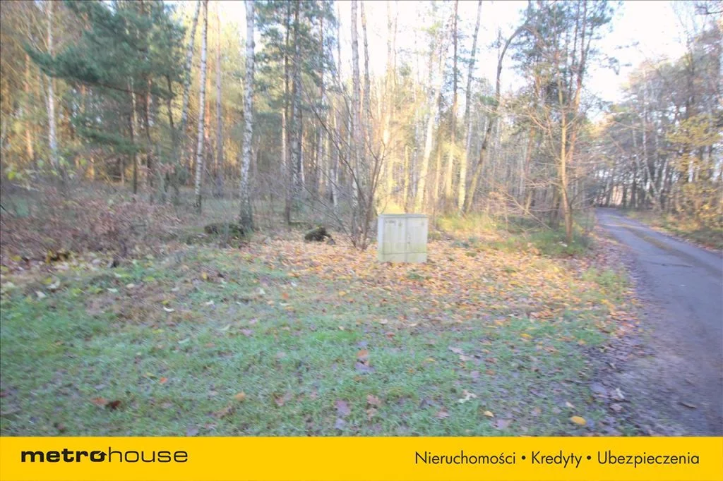 KAZU242 - zdjęcie nr 5