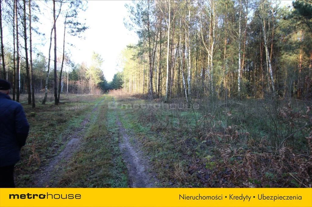 Działka 1 000,00 m², oferta nr , KAZU242, Mauryców