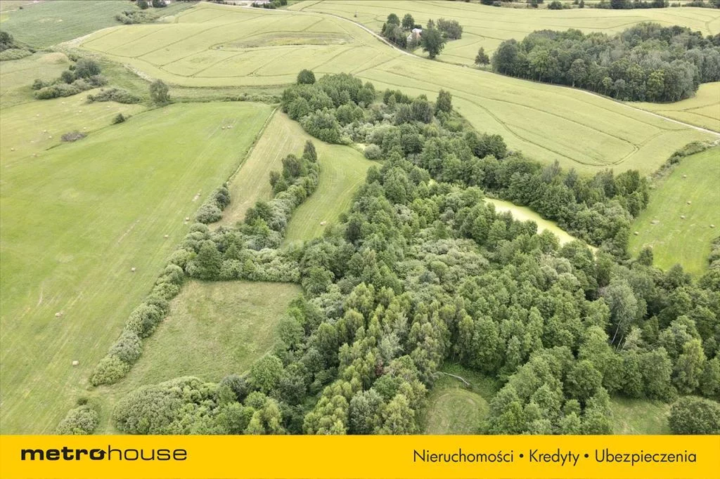 Działka 14 800,00 m², oferta nr , SYGI940, Mazanki