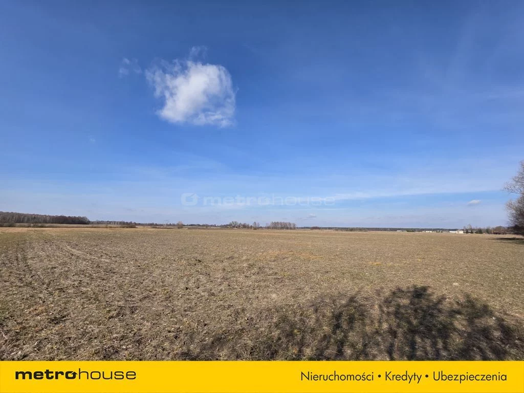 Działka 37 047,00 m², oferta nr , SGJESI143, Mazanówka