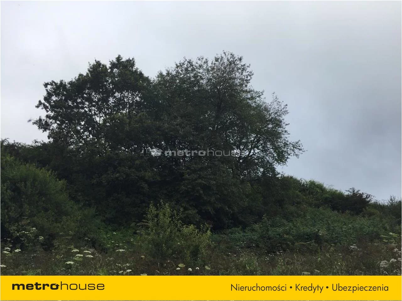 Działka 1 200,00 m², oferta nr , PEWI626, Mchawa