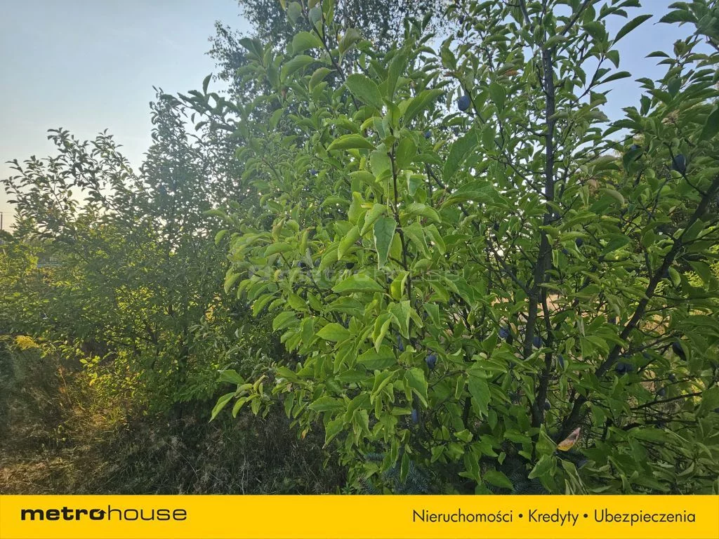 Działka 2 072,00 m², oferta nr , SGTAME877, Michalczew