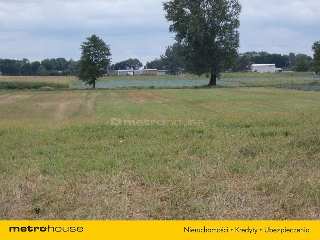 Działka 14 600,00 m², oferta nr , RIFE943, Michałówek