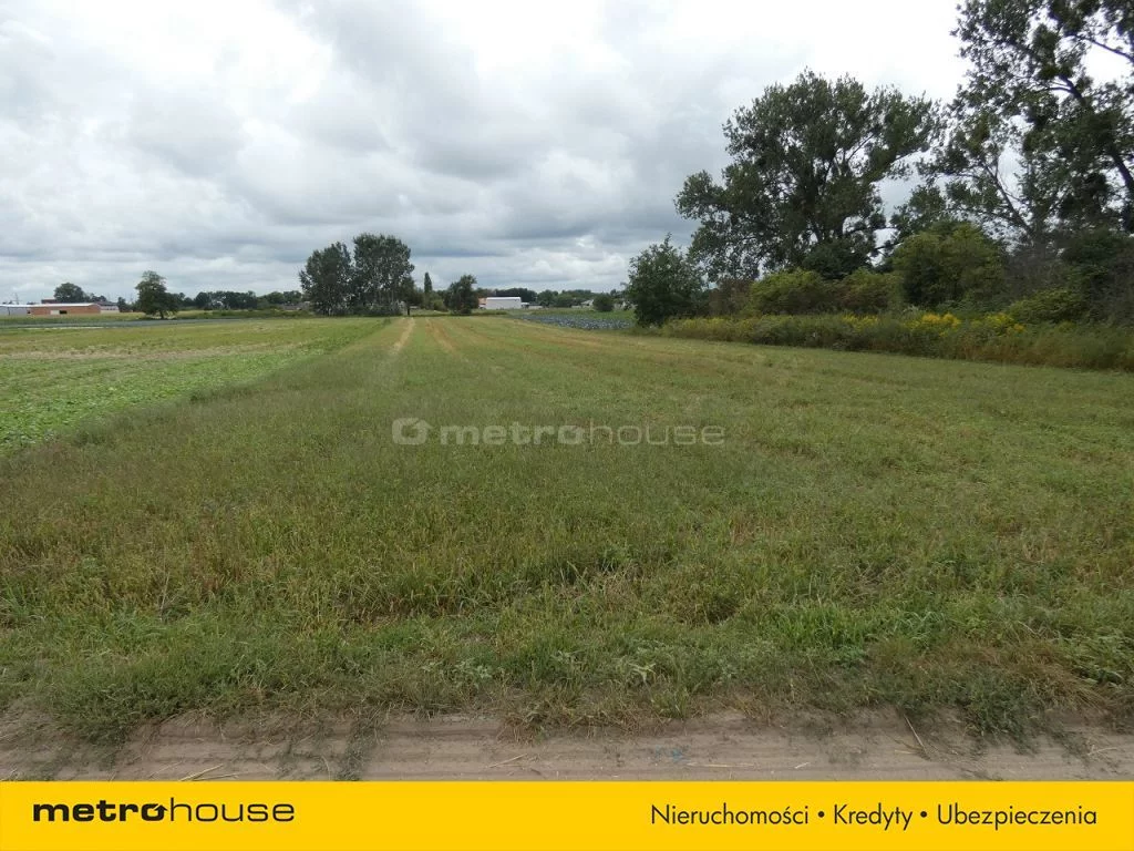Działka 14 600,00 m², oferta nr , RIFE943, Michałówek