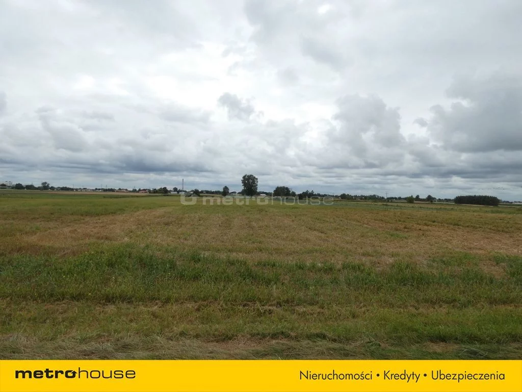 Działka 14 600,00 m², oferta nr , RIFE943, Michałówek