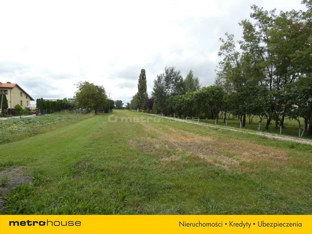 Działka 14 600,00 m², oferta nr , RIFE943, Michałówek