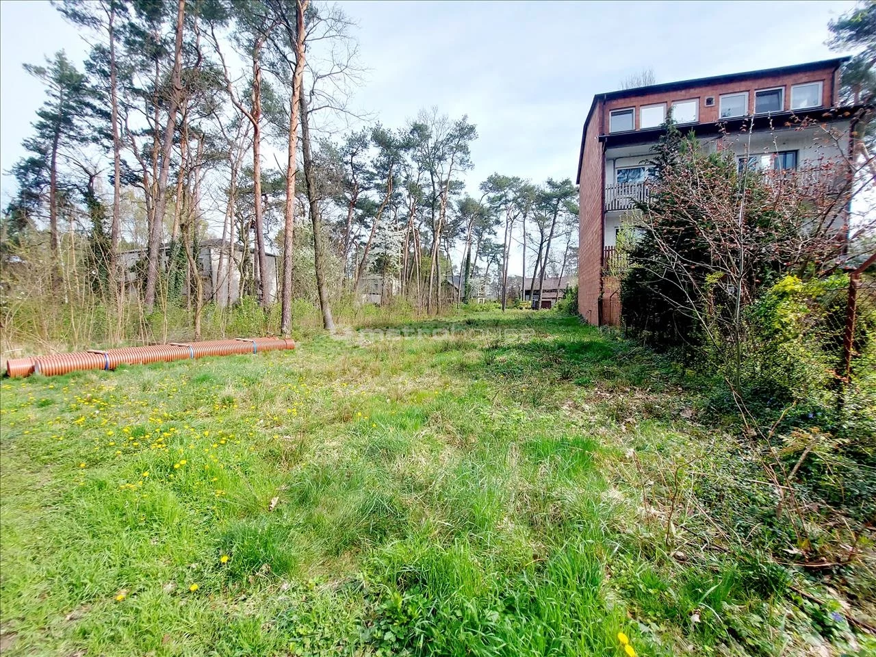 Działka 907,00 m², Międzyborów, Sprzedaż