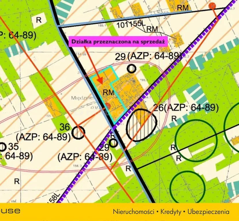 SGPARA437 - zdjęcie nr 2