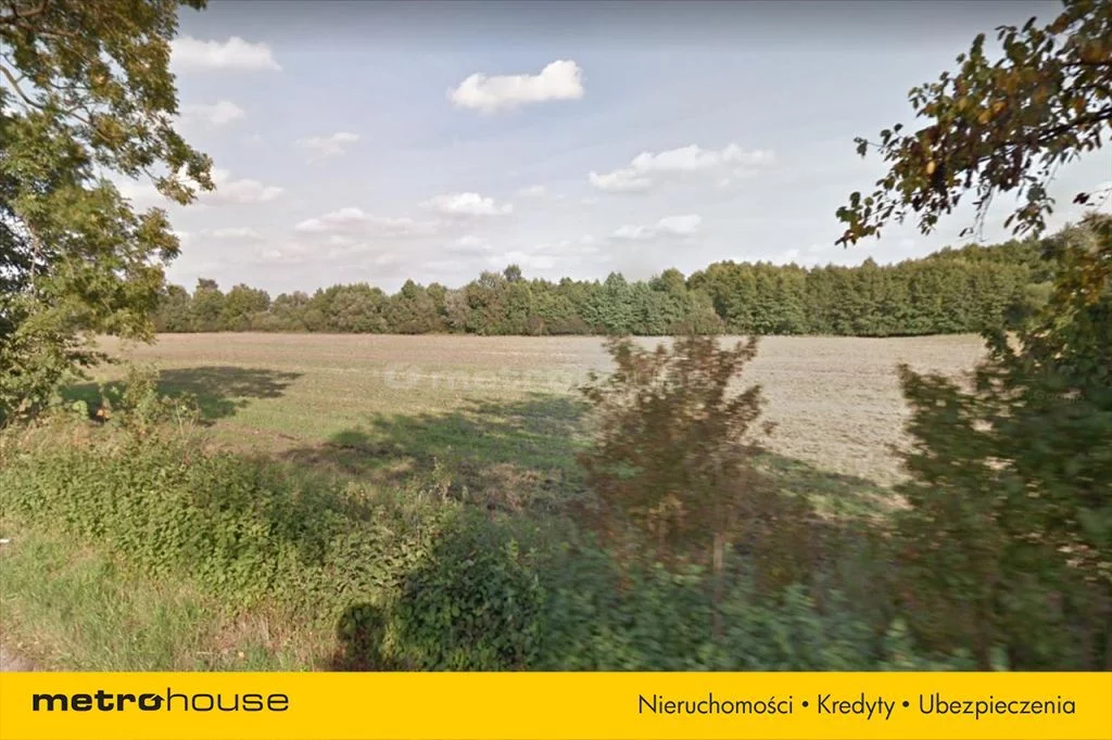 Działka 18 233,00 m², oferta nr , KODI307, Międzylesie