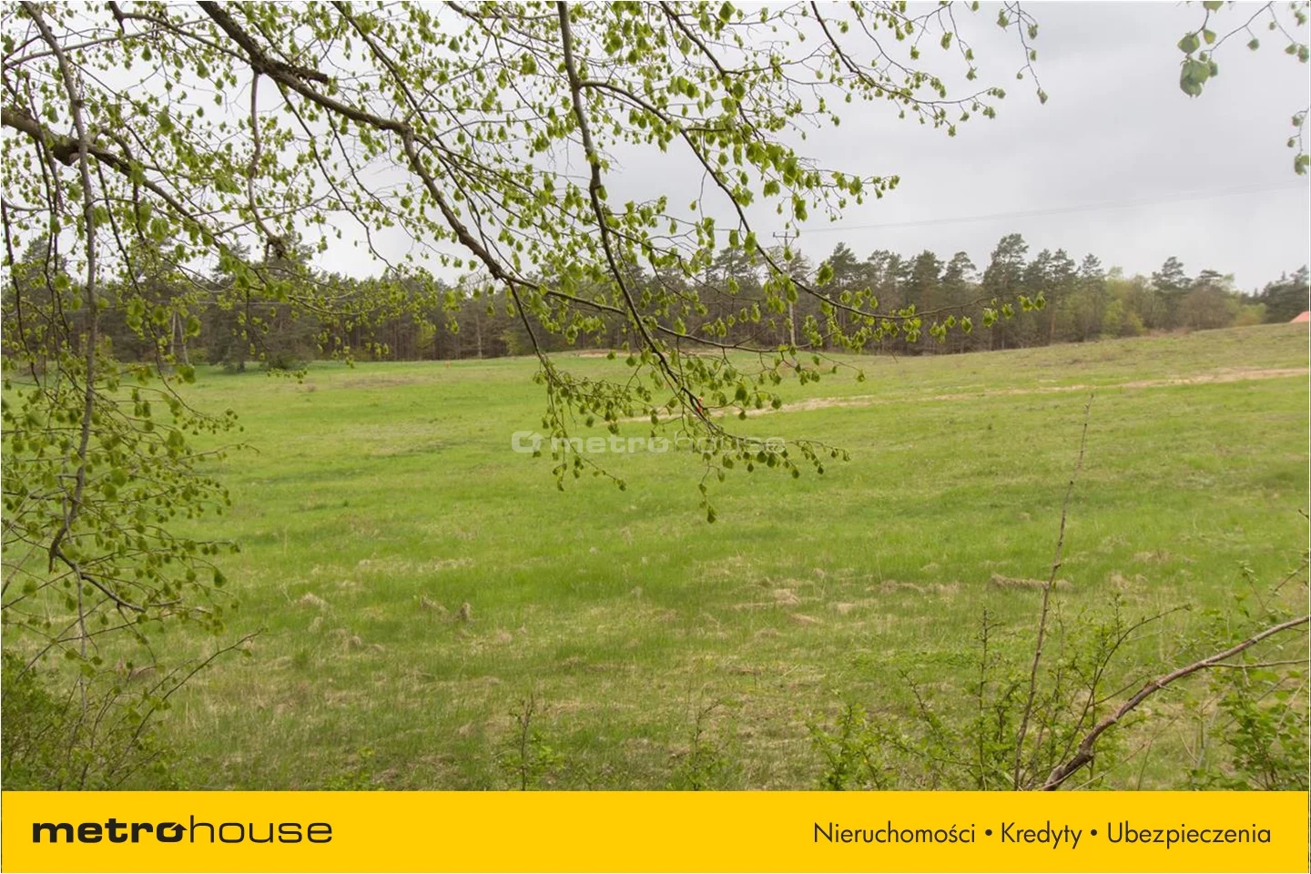 Działka 3 165,00 m², oferta nr , GUZI830, Międzylesie