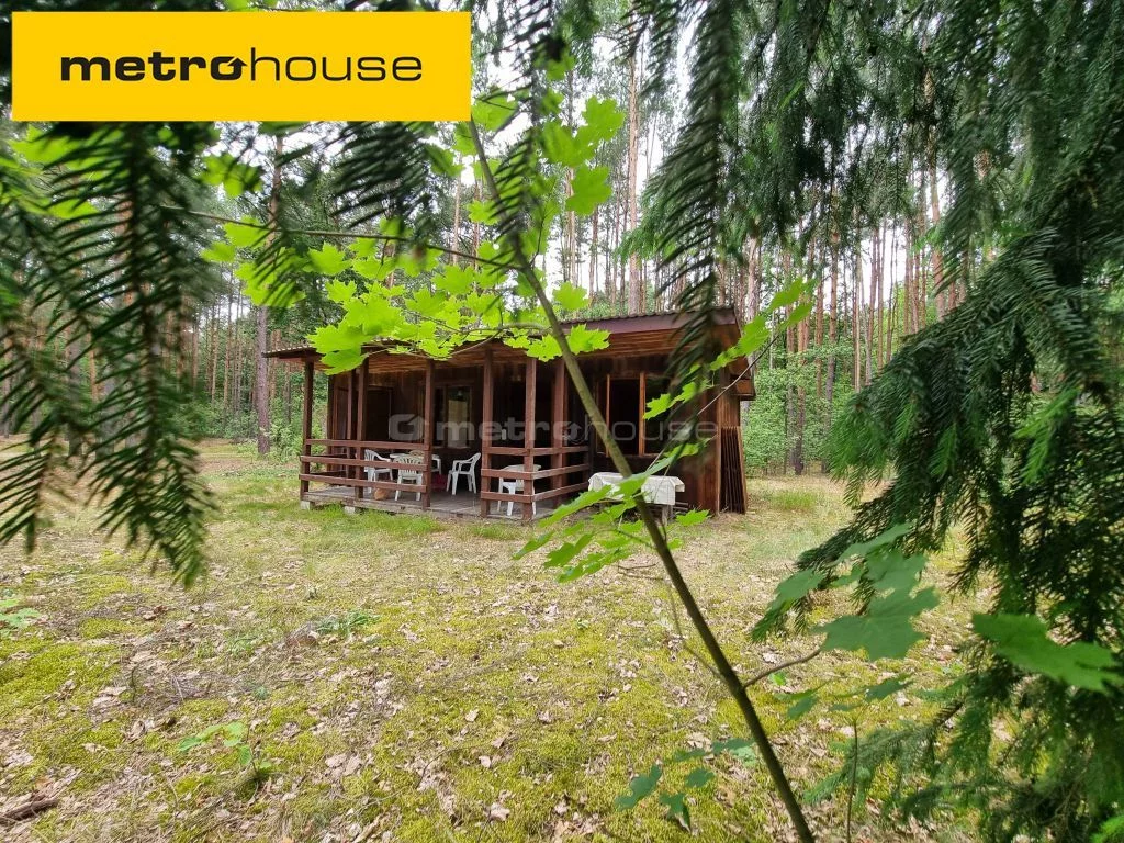 Apartamenty SGKIVE892 Mierzwice-Kolonia