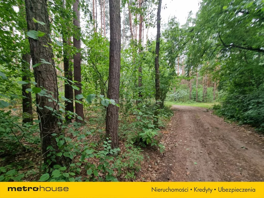 Działka 3 300,00 m², oferta nr , SGKIVE892, Mierzwice-Kolonia