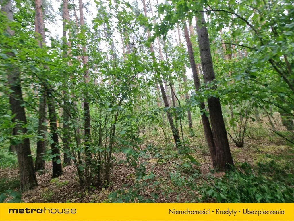 Działka 3 300,00 m², oferta nr , SGKIVE892, Mierzwice-Kolonia