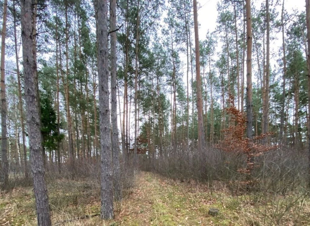 Działka 4 800,00 m², oferta nr , SGZOLU185, Minikowo