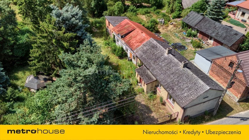 SGDALY107 - zdjęcie nr 3