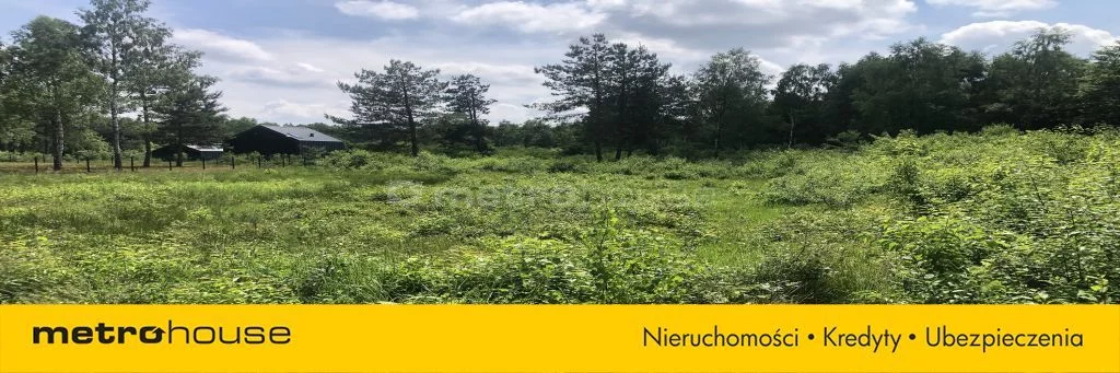 Działka 1 166,00 m², oferta nr , SGFELI981, Młoszów