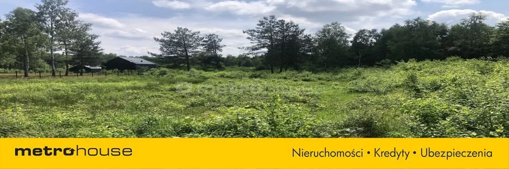 Działka 1 167,00 m², oferta nr , SGHORI757, Młoszów