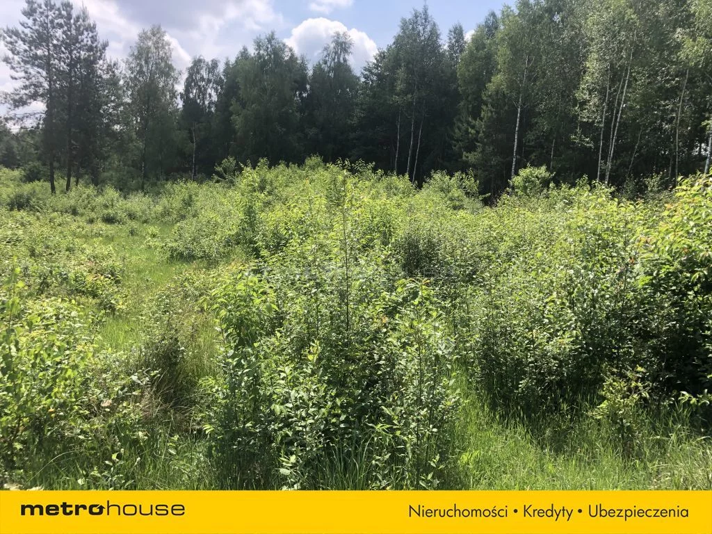 Działka 1 167,00 m², oferta nr , SGHORI757, Młoszów