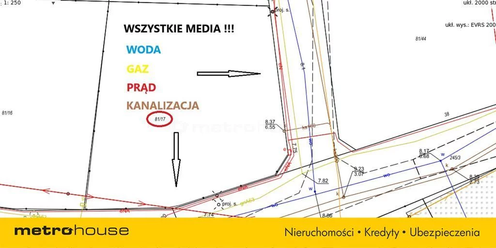 SGDAMY633 - zdjęcie nr 2