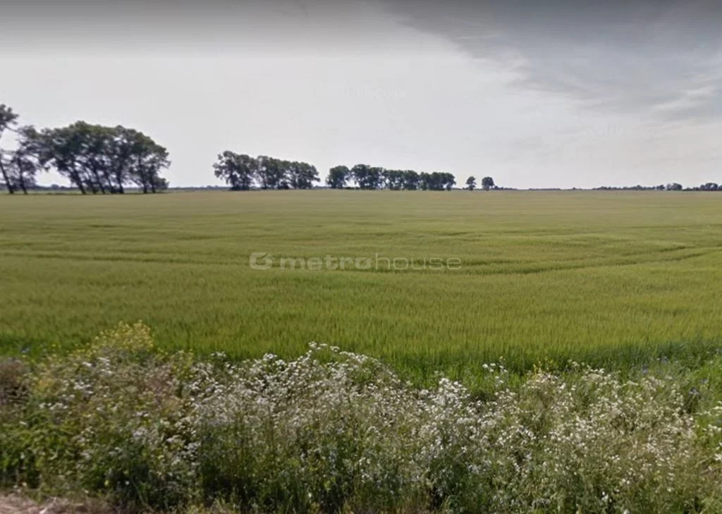 Działka 966,00 m², oferta nr , SGBEFA597, Mosina