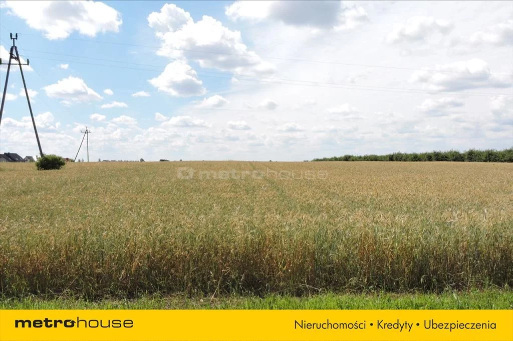 Działka 63 076,00 m², oferta nr , DETY695, Mrowino