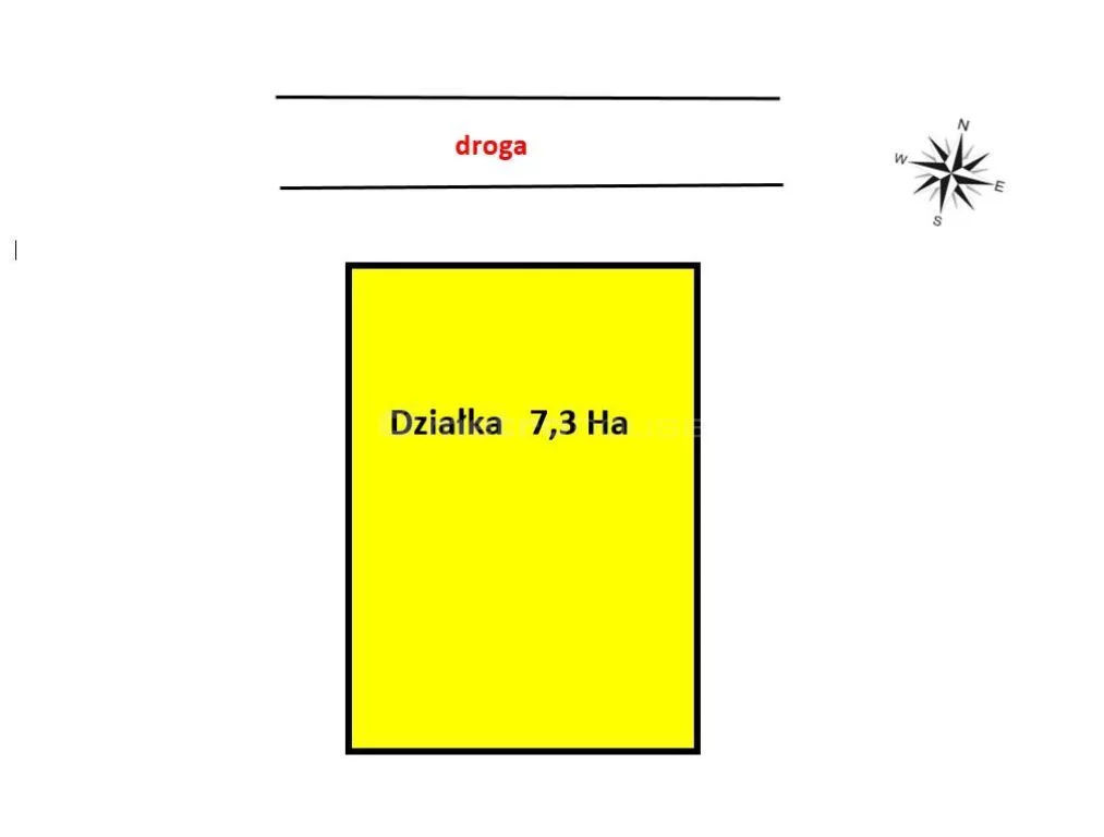 DETY695 - zdjęcie nr 3