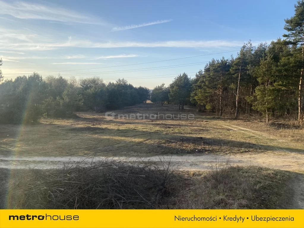 Działka 5 364,00 m², oferta nr , SGNIPA887, Rawa Mazowiecka, Mszczonowska