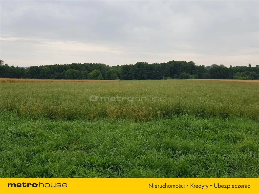 NYMY363 - zdjęcie nr 0