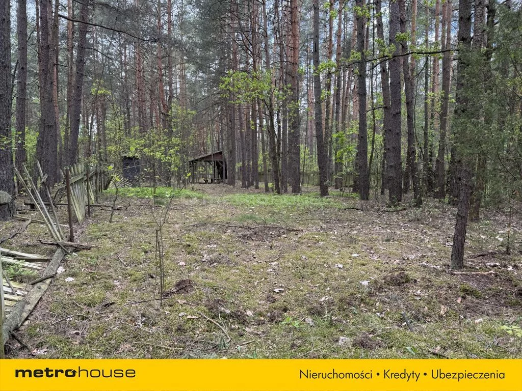 SGDAGO592 - zdjęcie nr 3