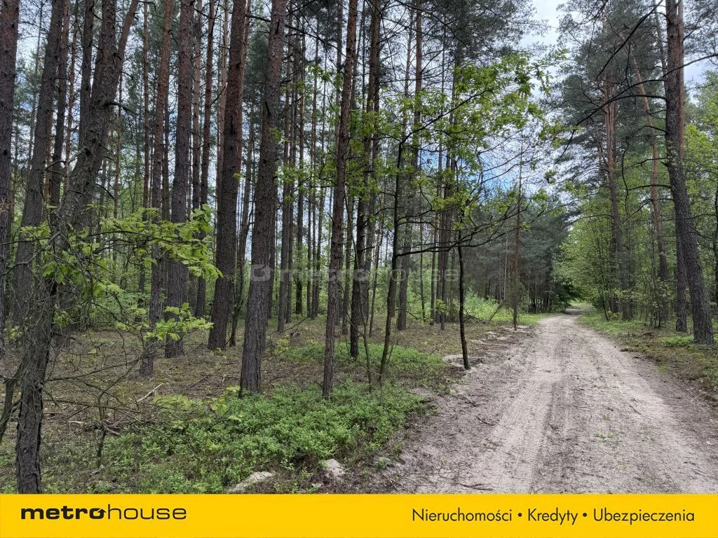 Działka 3 427,00 m², oferta nr , SGDAGO592, Nadkole
