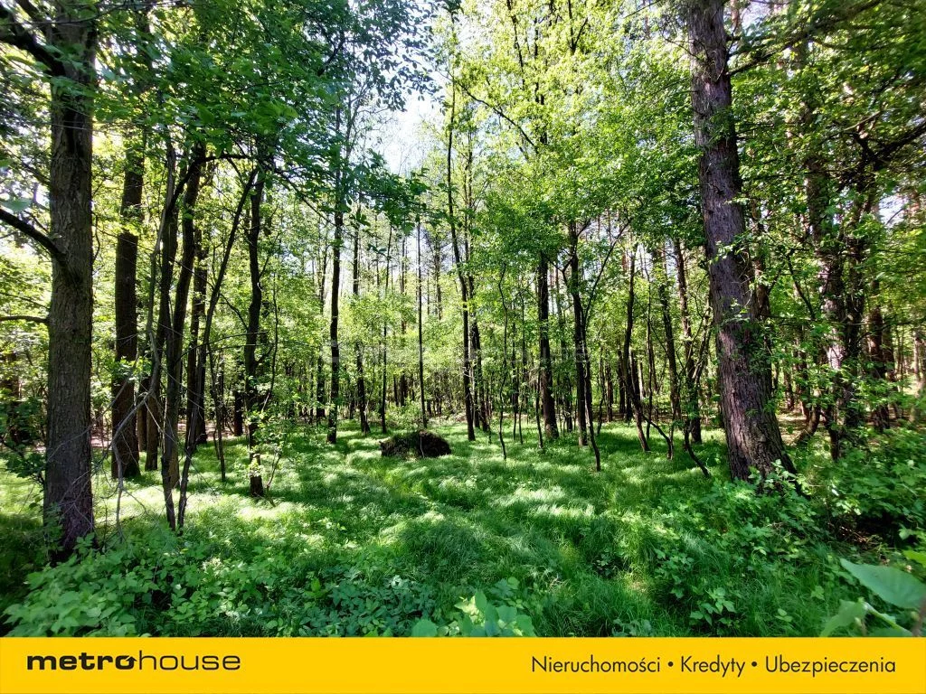 Działka 1 065,00 m², oferta nr , CEHY579, Nieborowice