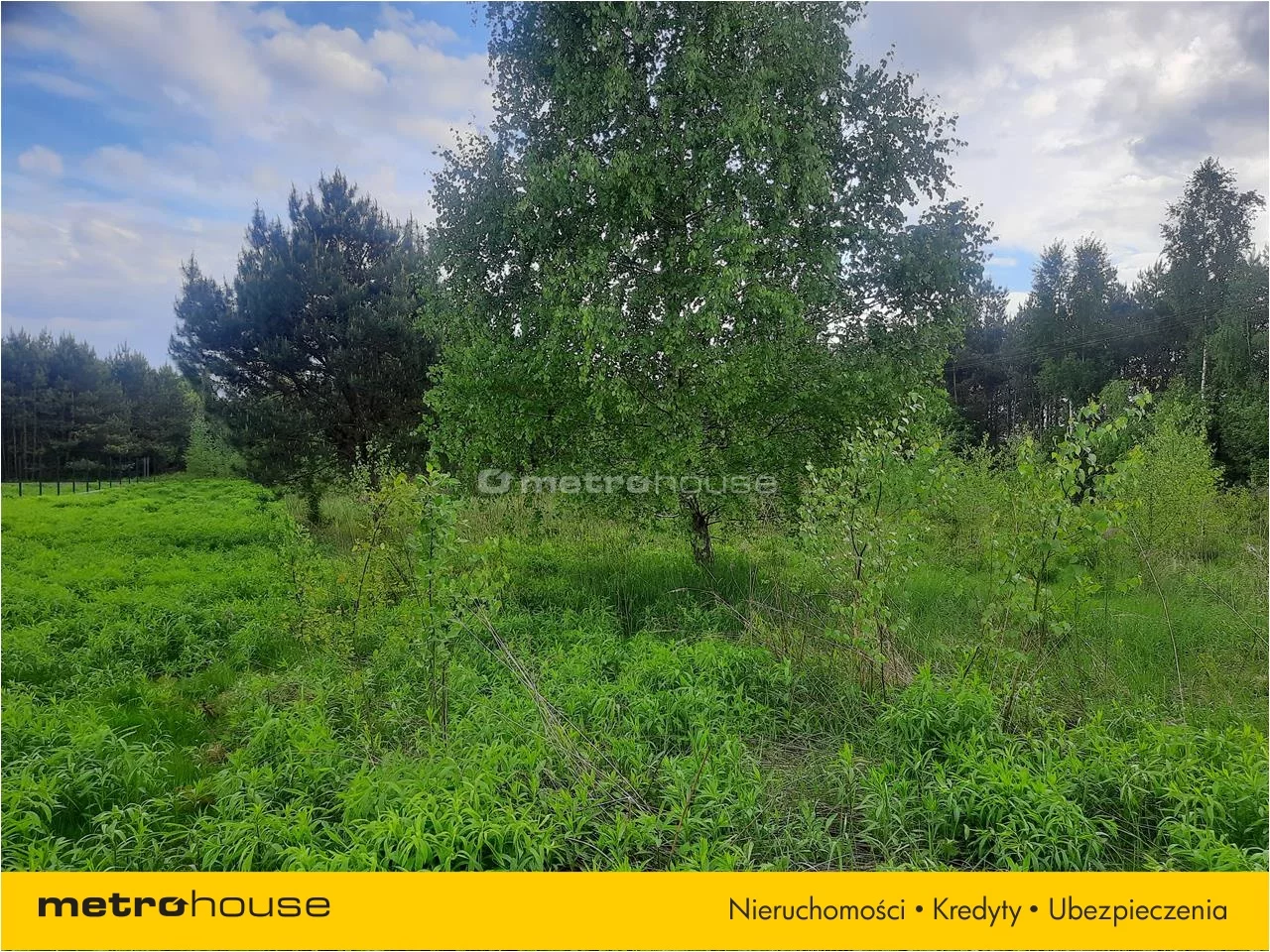 Działka 3 000,00 m², oferta nr , PUNO567, Niesułków-Kolonia