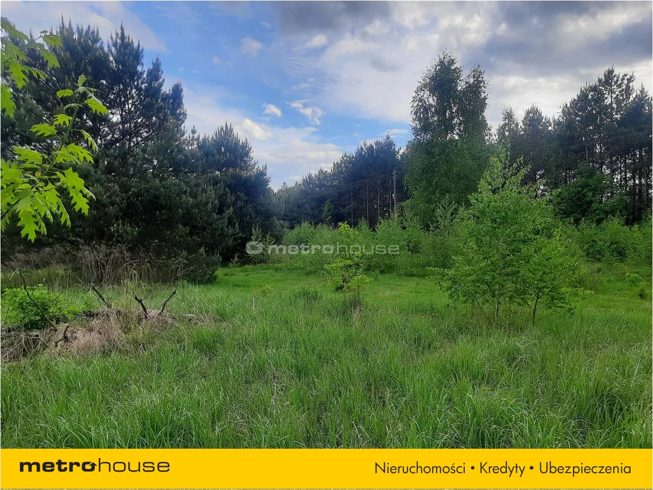 Działka 3 000,00 m², oferta nr , PUNO567, Niesułków-Kolonia