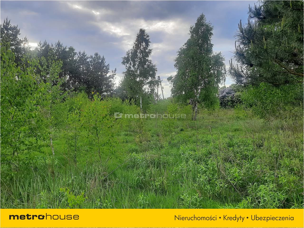 Działka 3 000,00 m², oferta nr , PUNO567, Niesułków-Kolonia