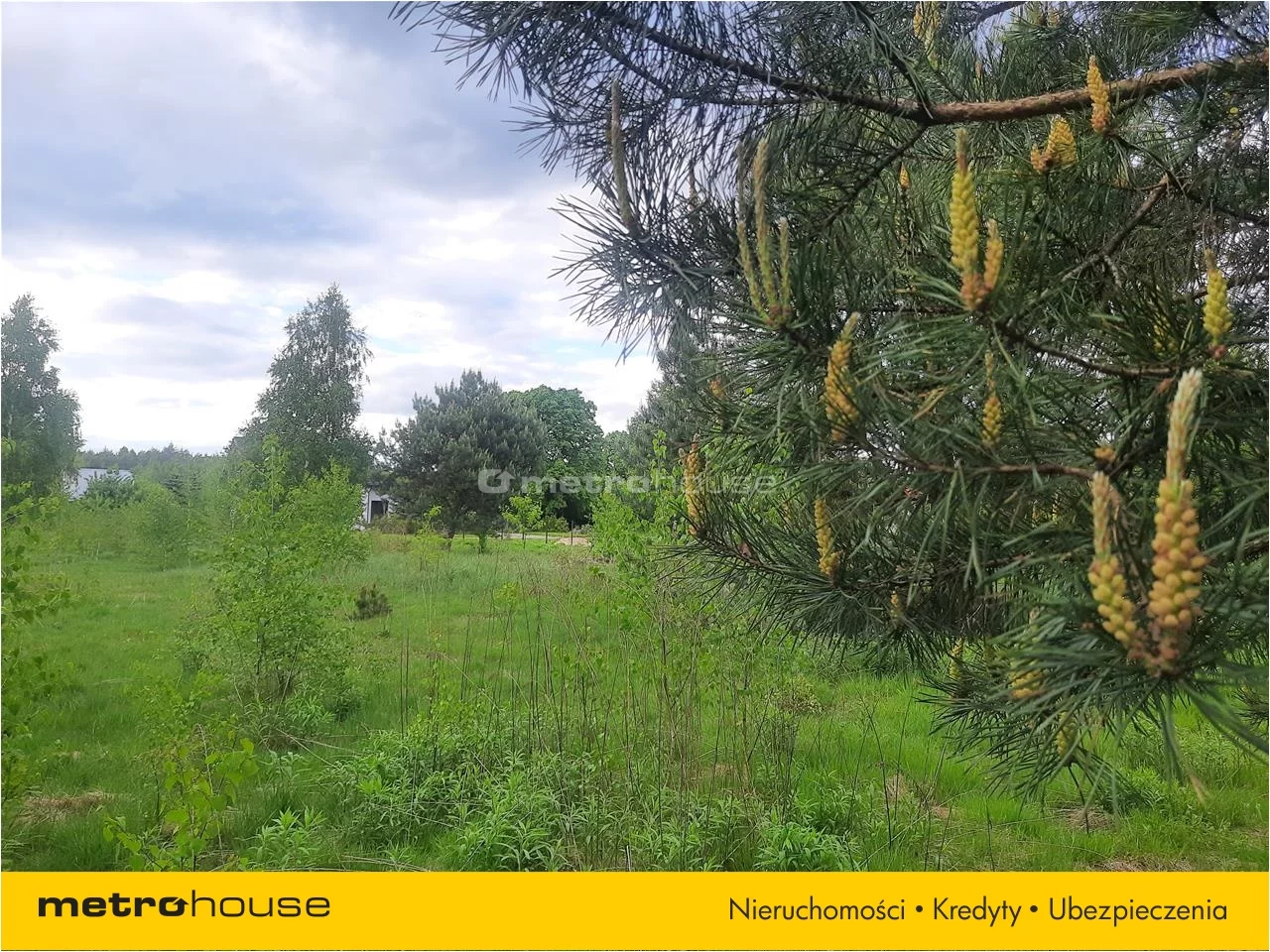 Działka 3 000,00 m², oferta nr , PUNO567, Niesułków-Kolonia