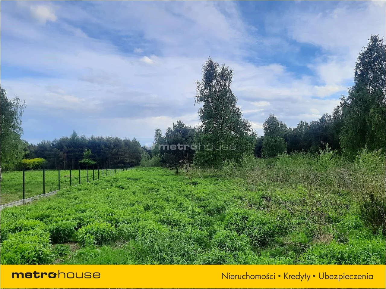 Działka 3 000,00 m², oferta nr , PUNO567, Niesułków-Kolonia
