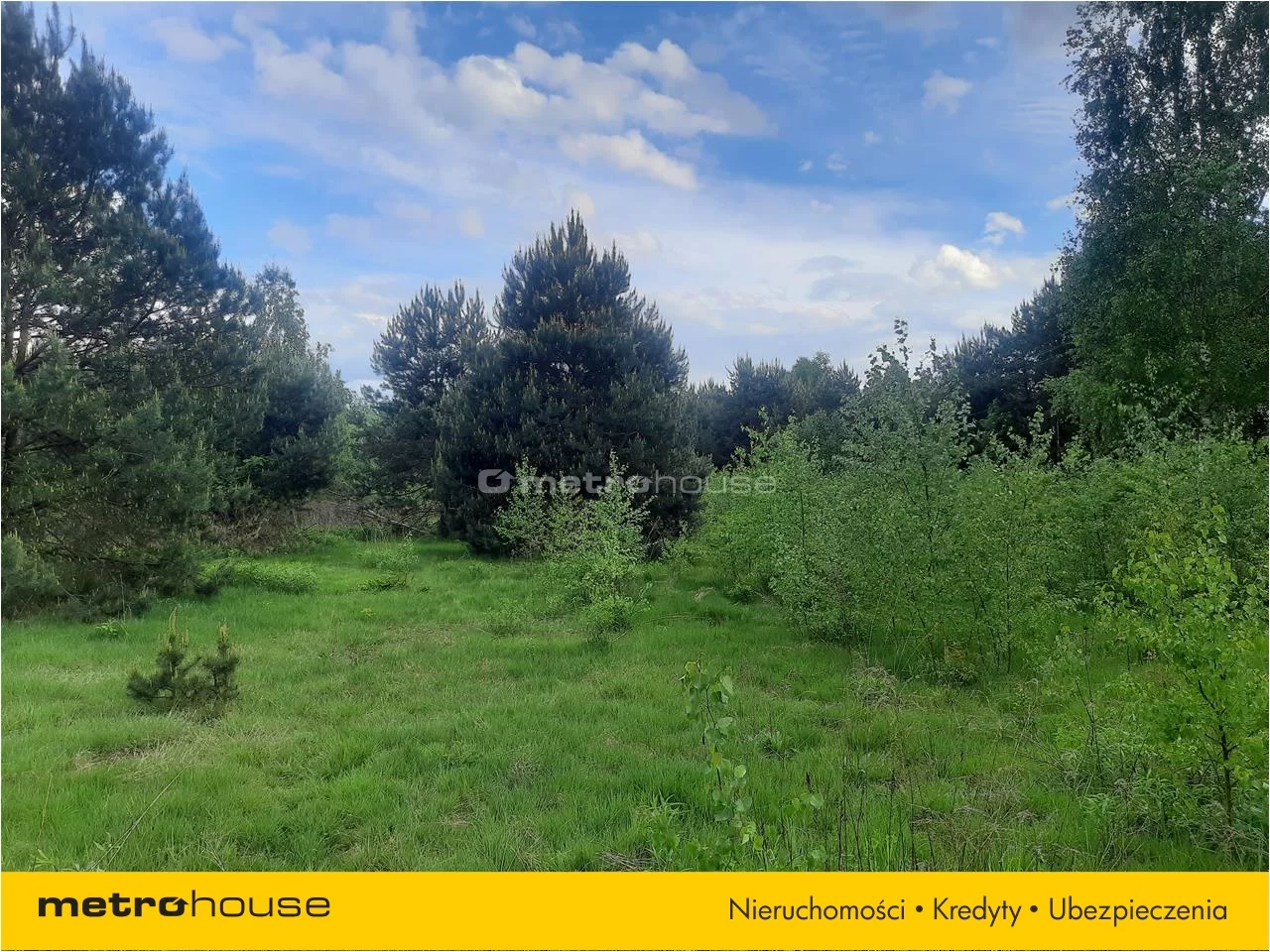 Działka 3 000,00 m², oferta nr , PUNO567, Niesułków-Kolonia