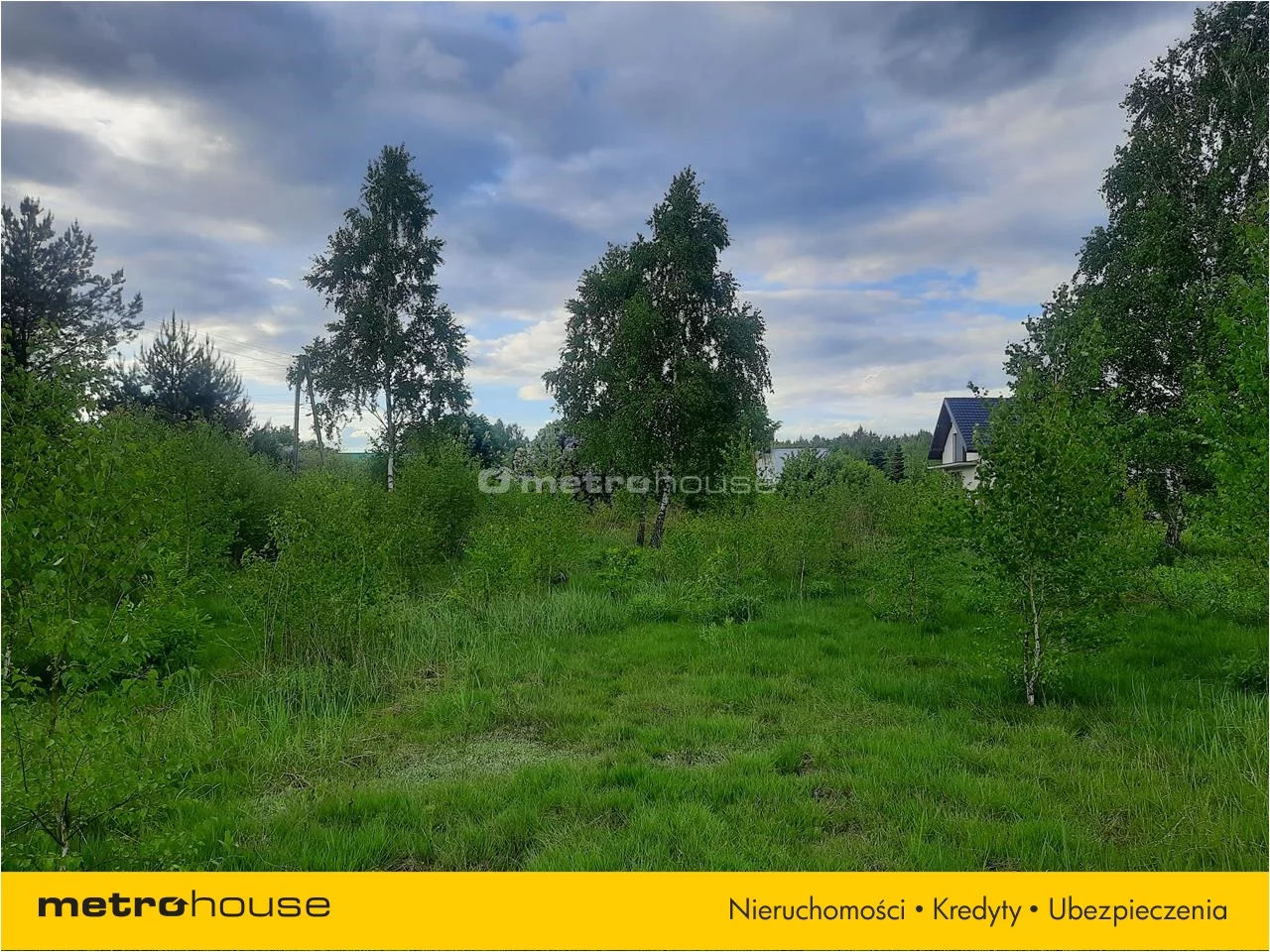 Działka 3 000,00 m², oferta nr , PUNO567, Niesułków-Kolonia