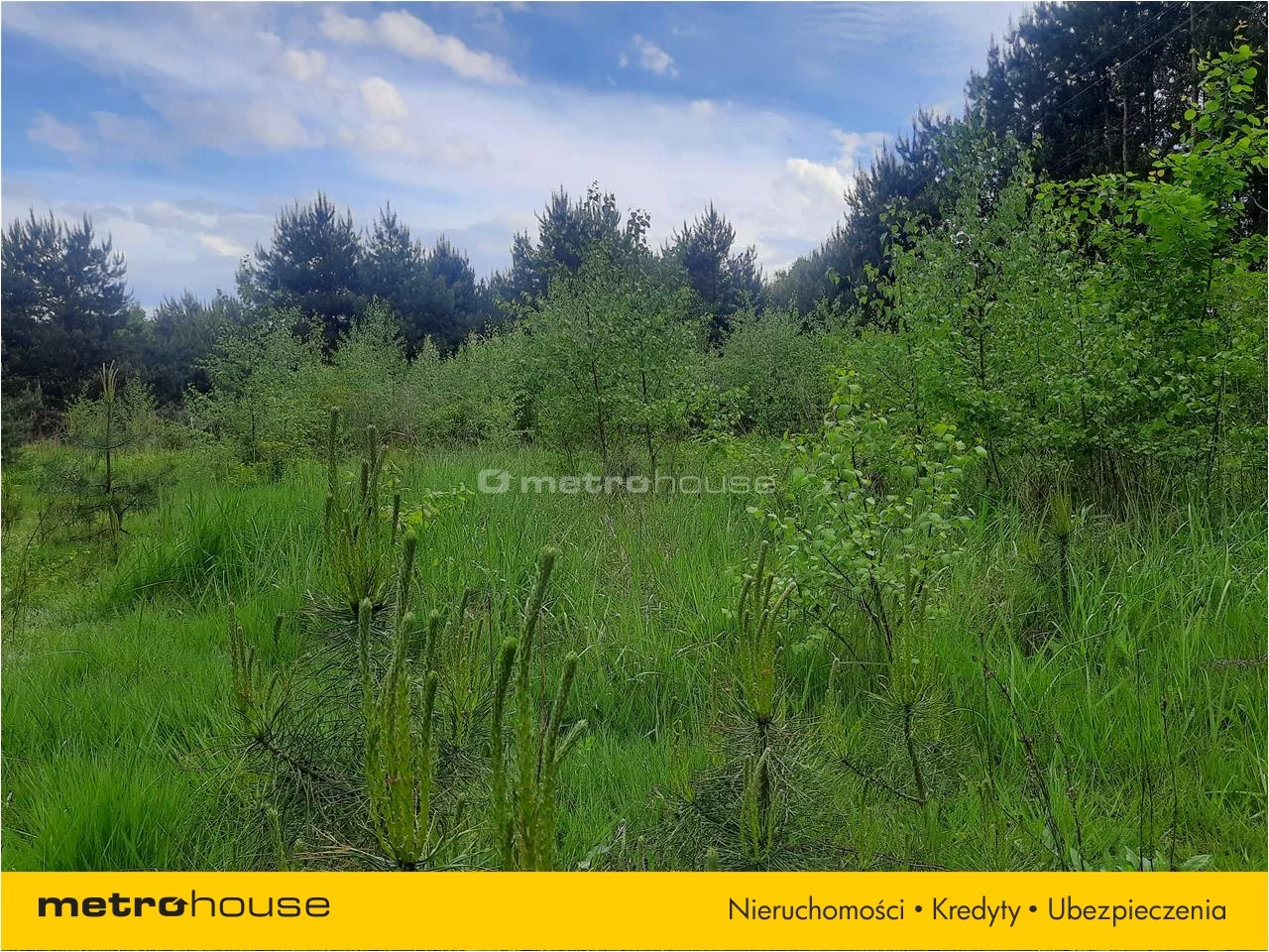 Działka 3 000,00 m², oferta nr , PUNO567, Niesułków-Kolonia