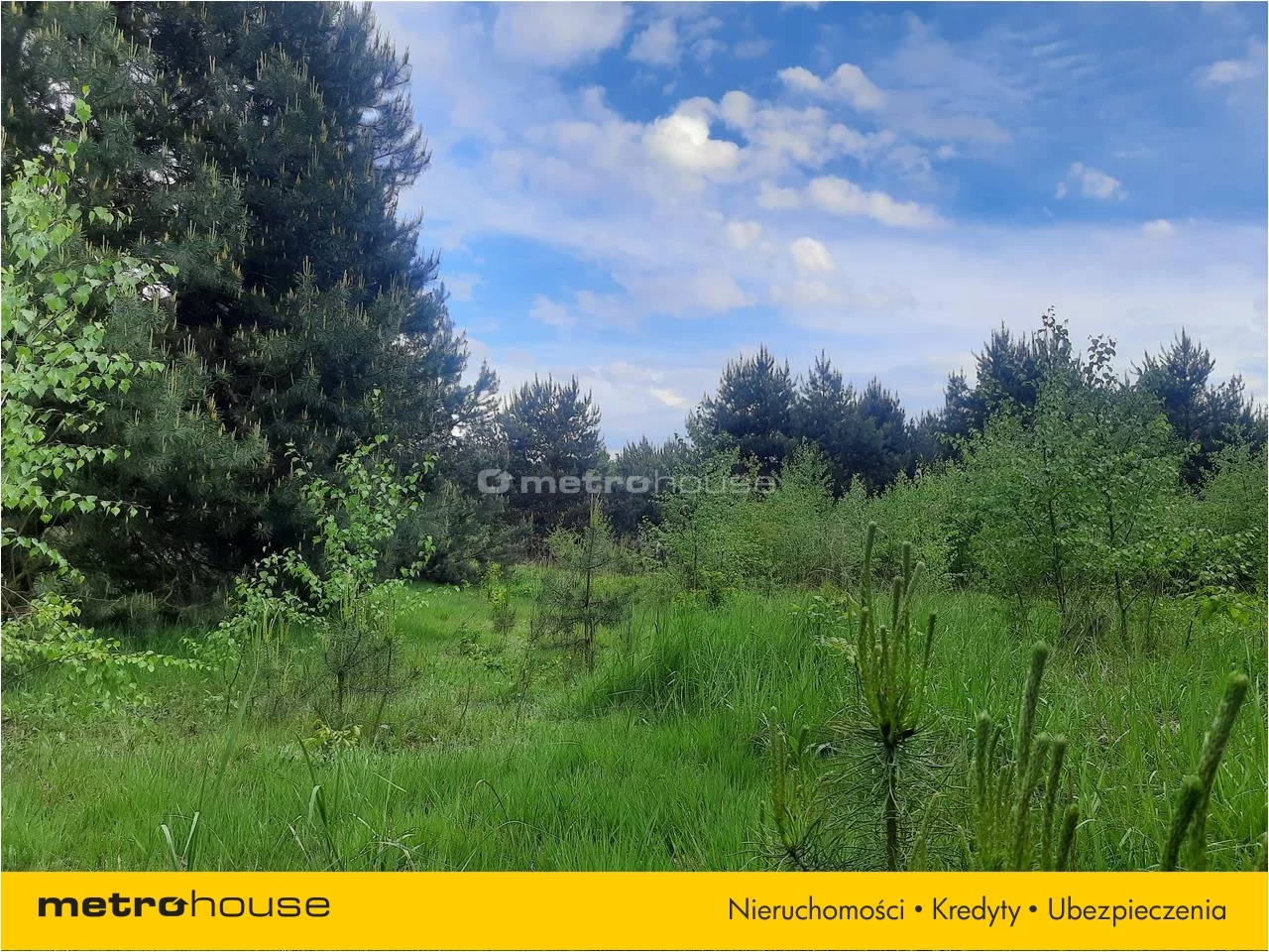 Działka 3 000,00 m², oferta nr , PUNO567, Niesułków-Kolonia