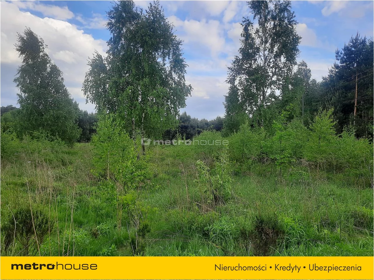 Działka 3 000,00 m², oferta nr , PUNO567, Niesułków-Kolonia