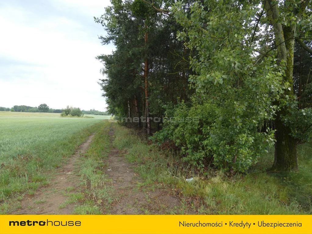 Działka 1 000,00 m², oferta nr , SGSAMY930, Nowa Mała Wieś