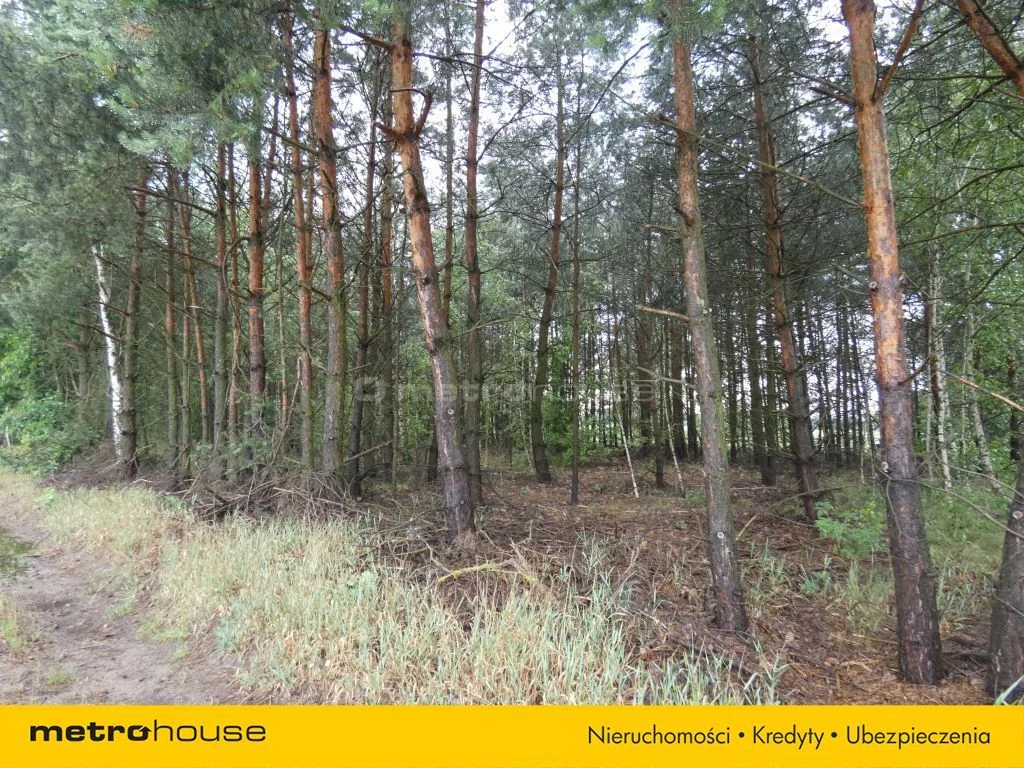 Działka 1 000,00 m², oferta nr , SGSAMY930, Nowa Mała Wieś