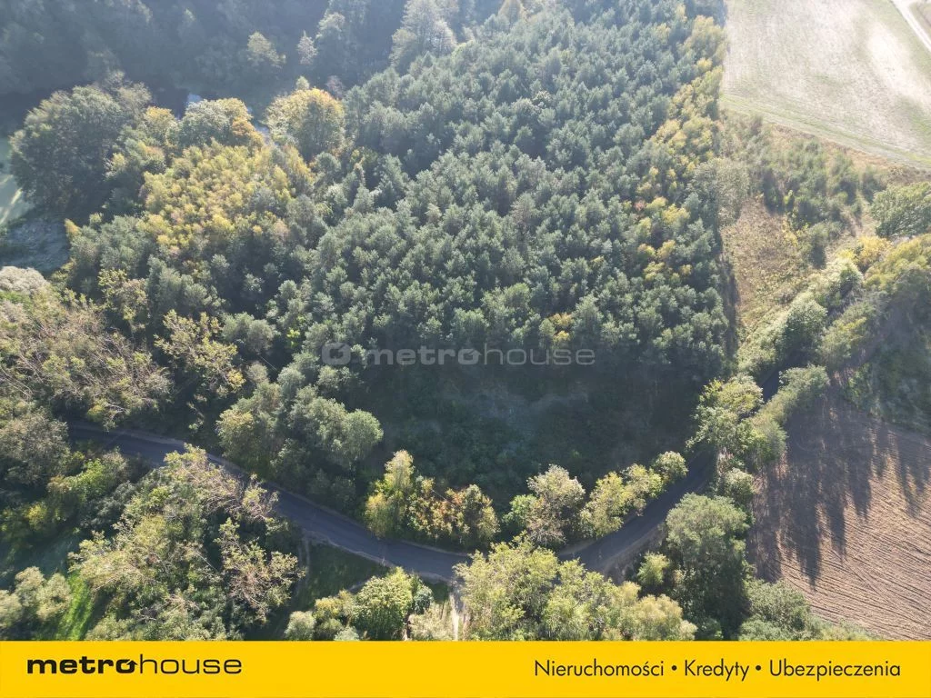 Działka 13 200,00 m², oferta nr , NAHI420, Nowa Wieś