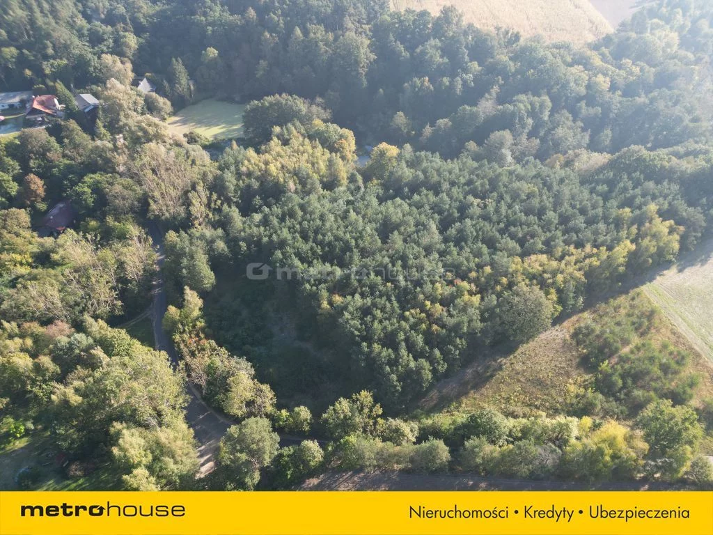 Działka 13 200,00 m², oferta nr , NAHI420, Nowa Wieś