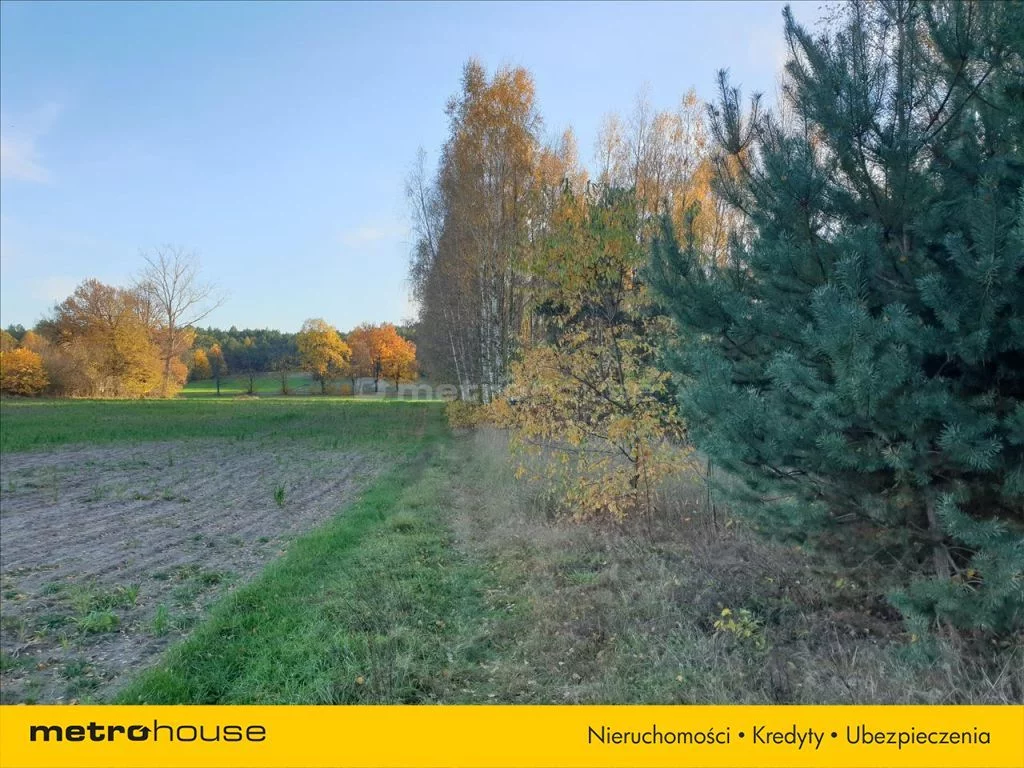 Działka 6 800,00 m², oferta nr , NEWA633, Nowe Byliny