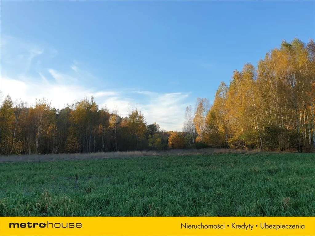 Działka 6 800,00 m², oferta nr , NEWA633, Nowe Byliny