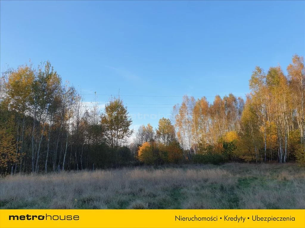 Działka 6 800,00 m², oferta nr , NEWA633, Nowe Byliny