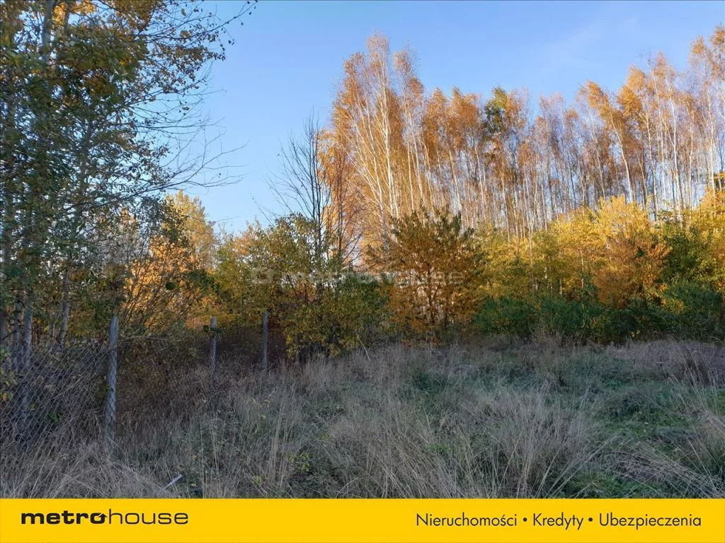 Działka 6 800,00 m², oferta nr , NEWA633, Nowe Byliny